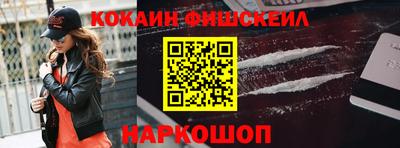 крисы Кингисепп