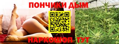 крисы Кингисепп