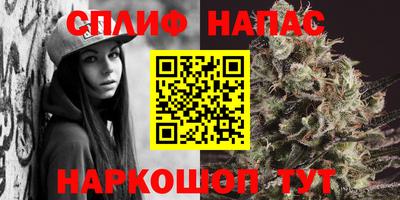 крисы Кингисепп