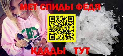 крисы Кингисепп