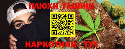 крисы Кингисепп