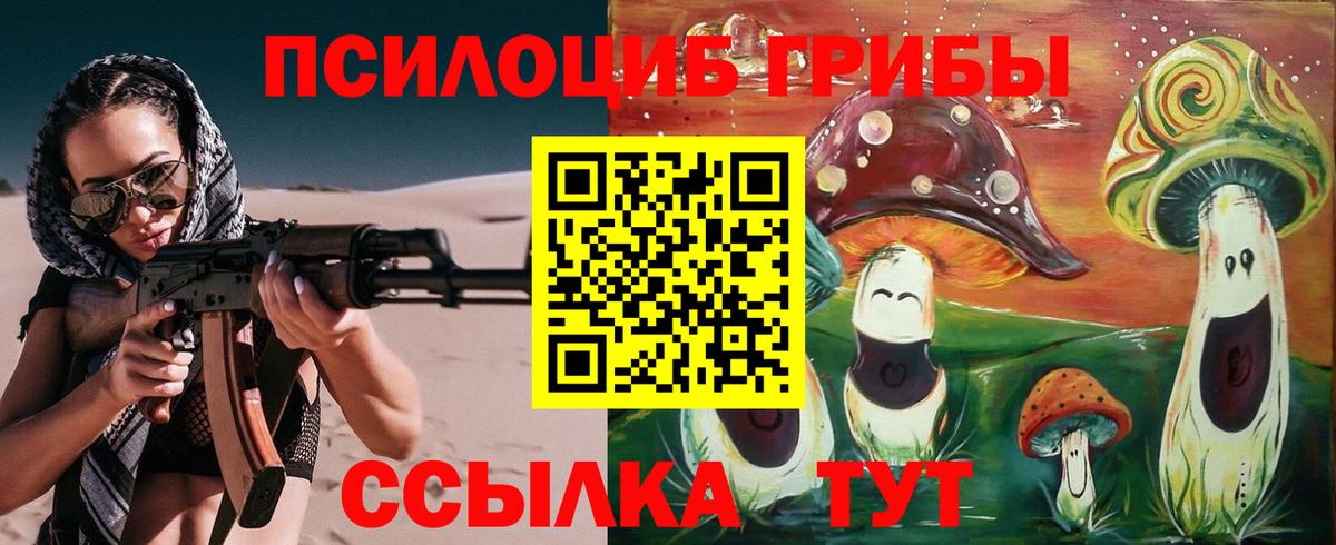 Георгиевск  Псилоцибиновые грибы мицелий  Псилоцибиновые грибы Cubensis  Вход с VPN 