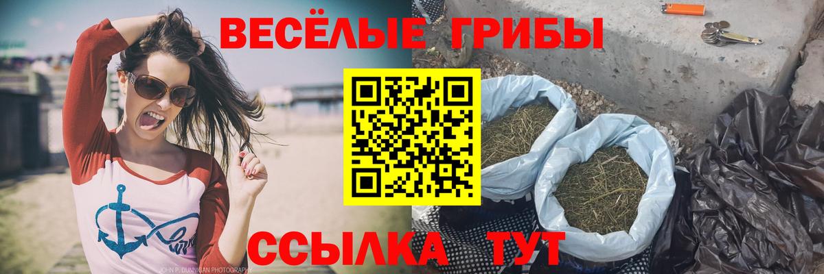 Галлюциногенные грибы Cubensis Георгиевск