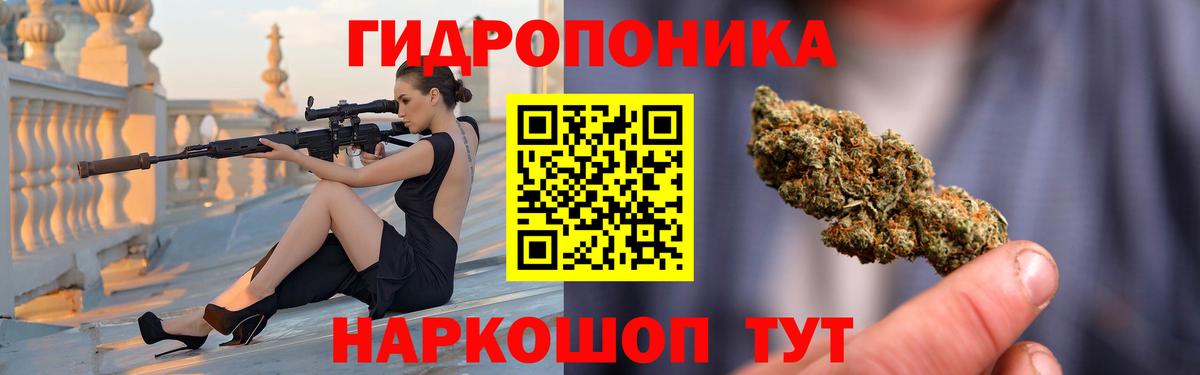 Канабис план Георгиевск